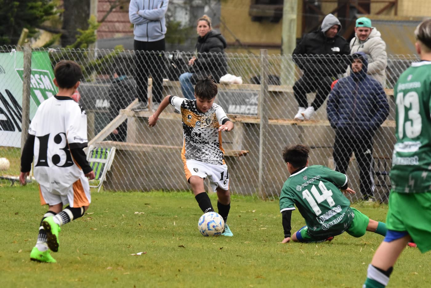 Categoría 2013 — foto 2