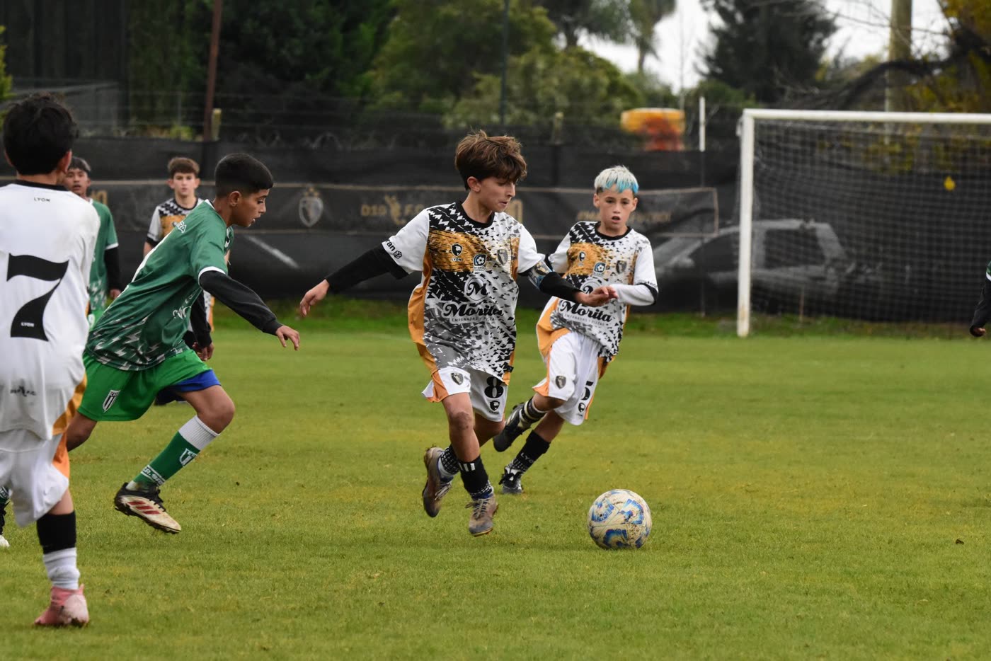 Categoría 2013 — foto 8