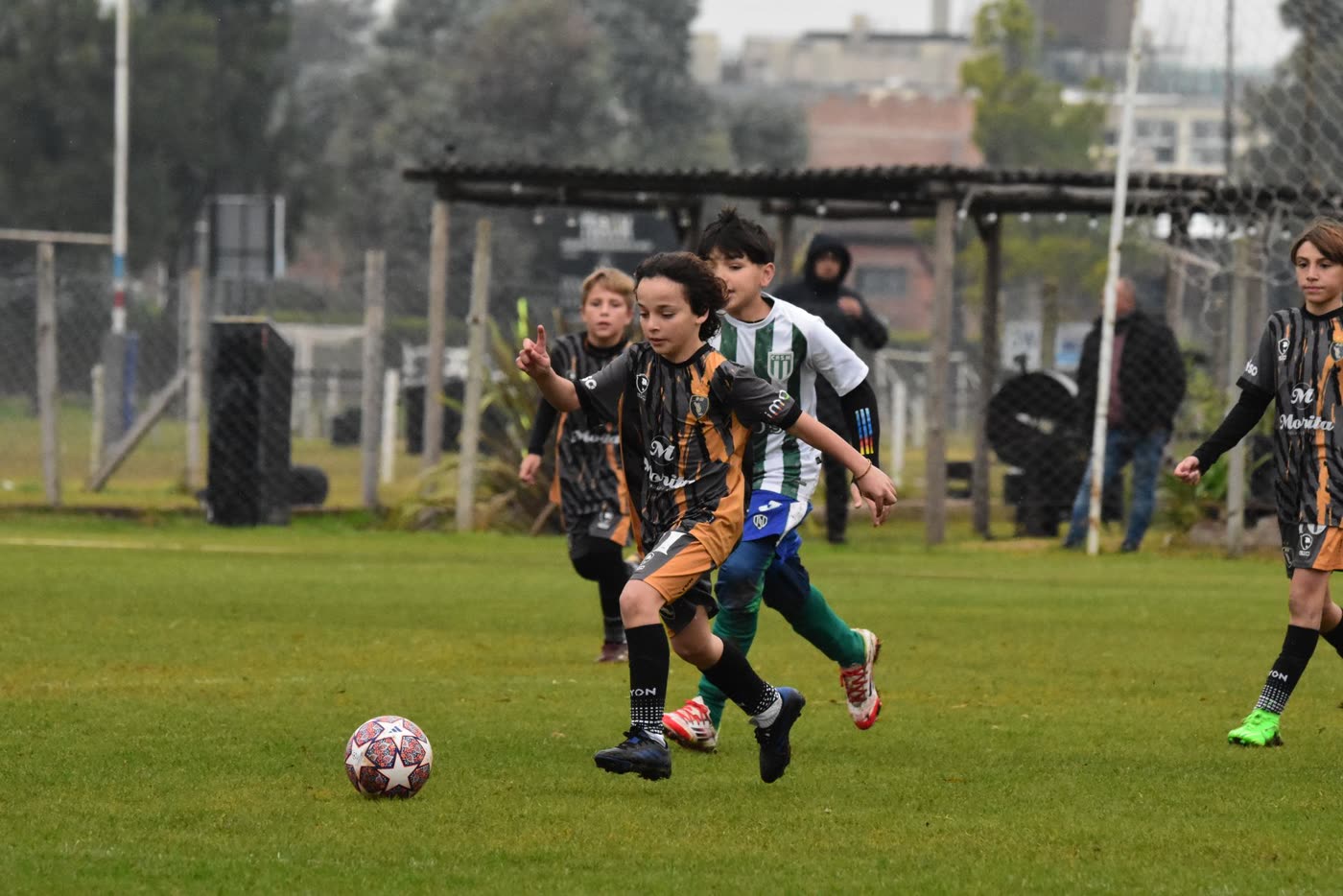 Categoría 2014 — foto 3