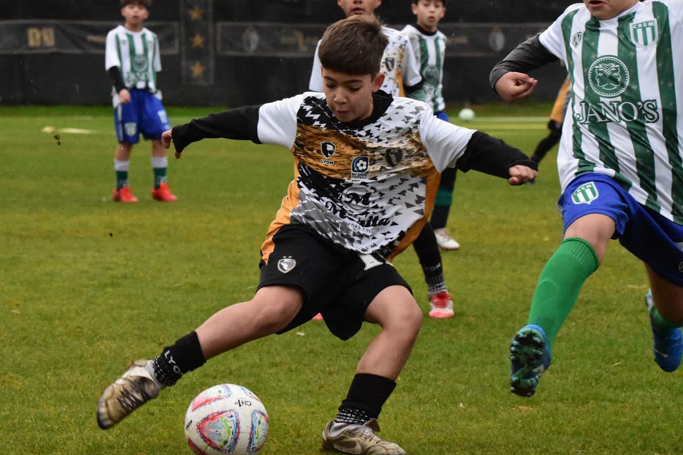 Categoría 2015 — foto 2