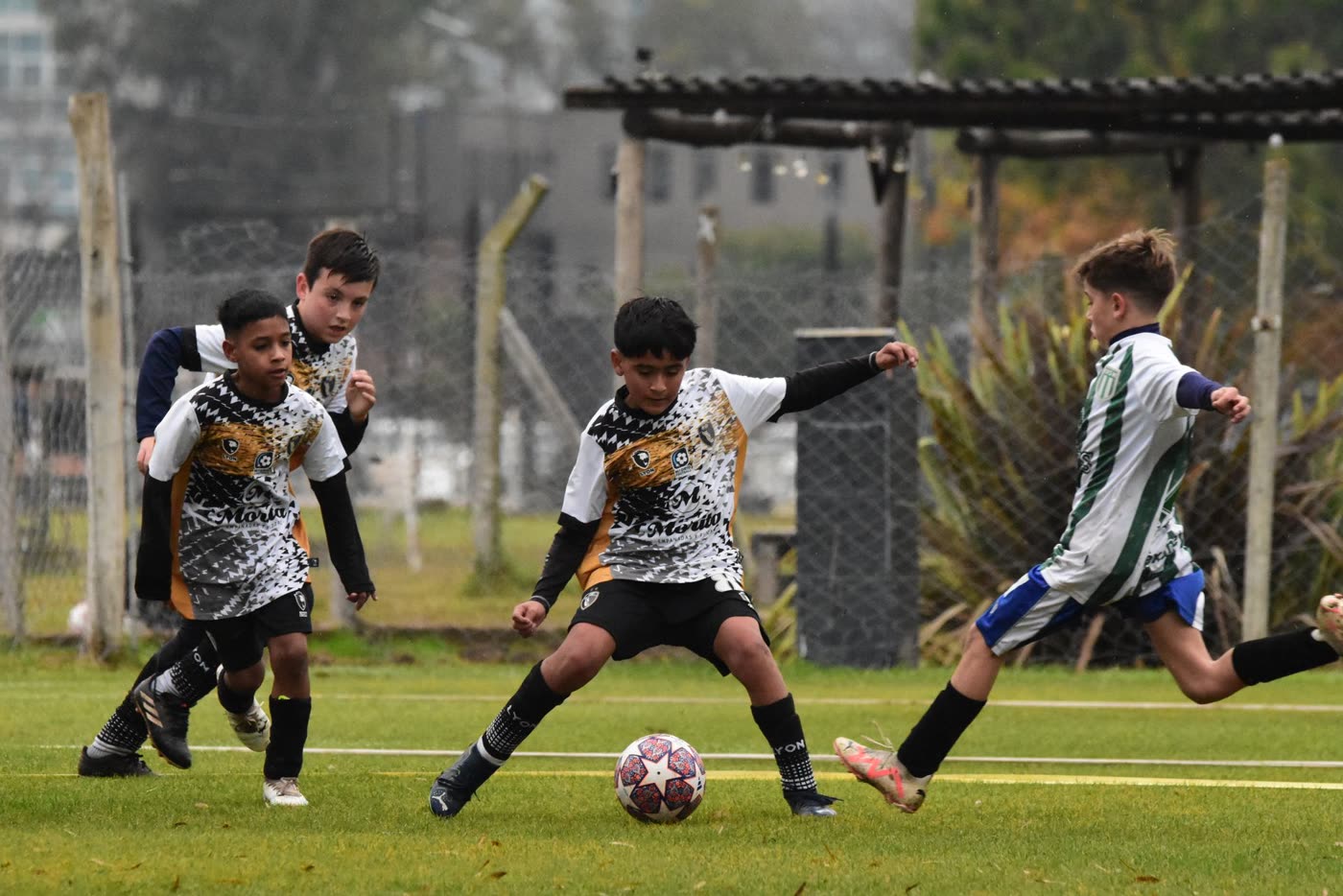 Categoría 2015 — foto 5