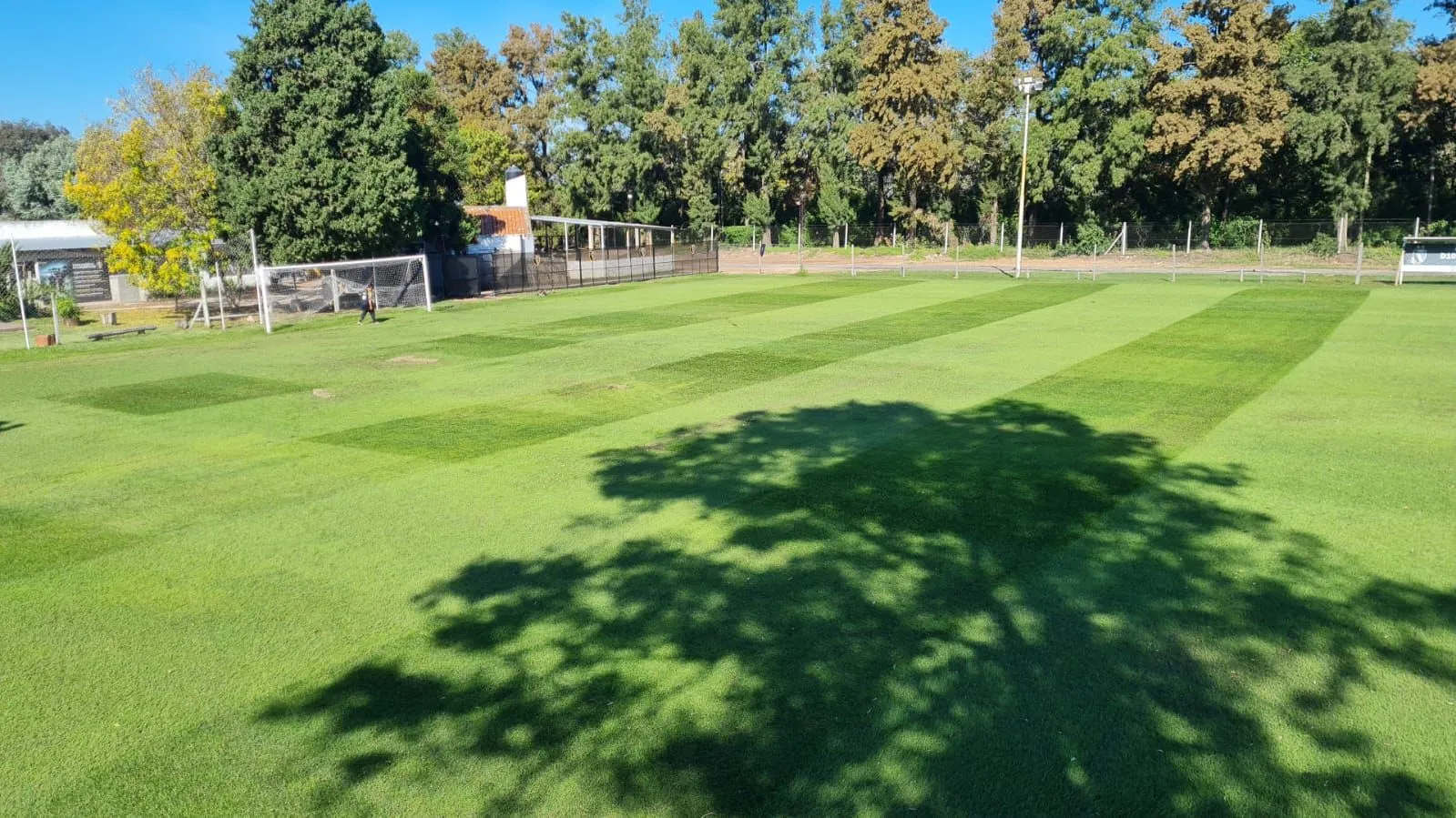 Cuerpo Técnico de D10 Football Club