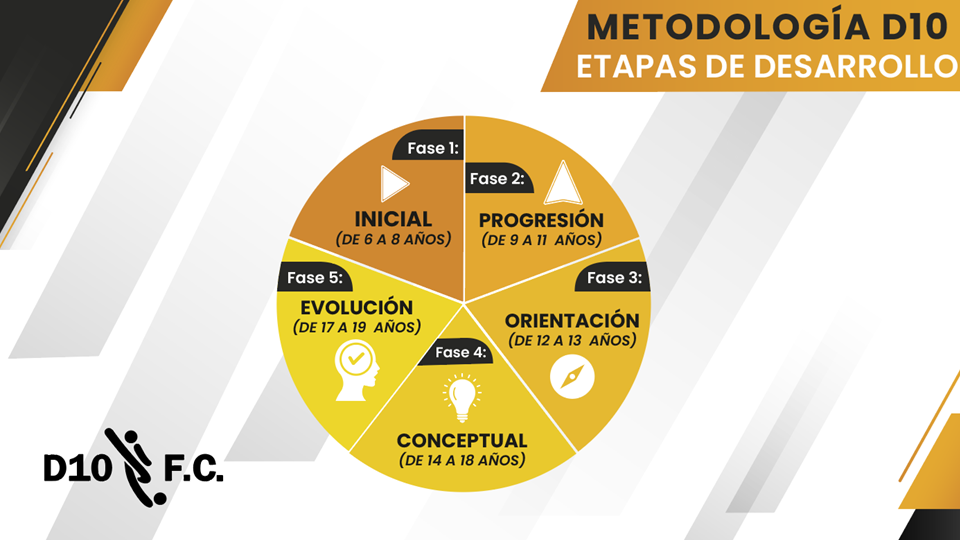 Etapas de desarrollo: una progresión por edades.