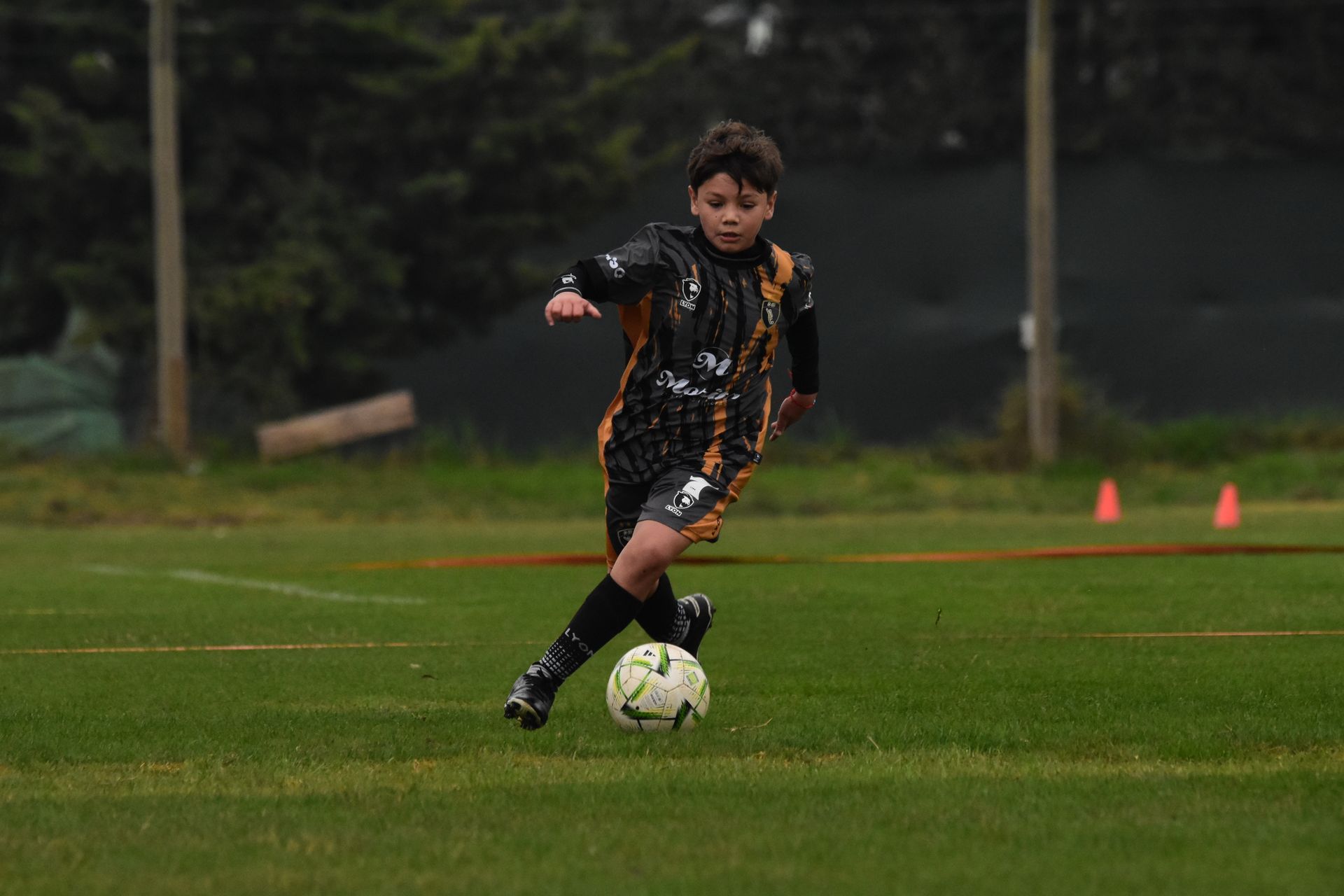 Cancha del predio D10